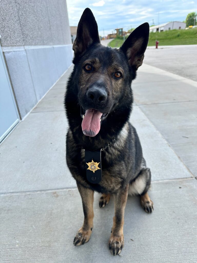 After Seven Years of Service, Iowa County K9 Sam to Retire; Sheriff’s Office Begins Search for Successor